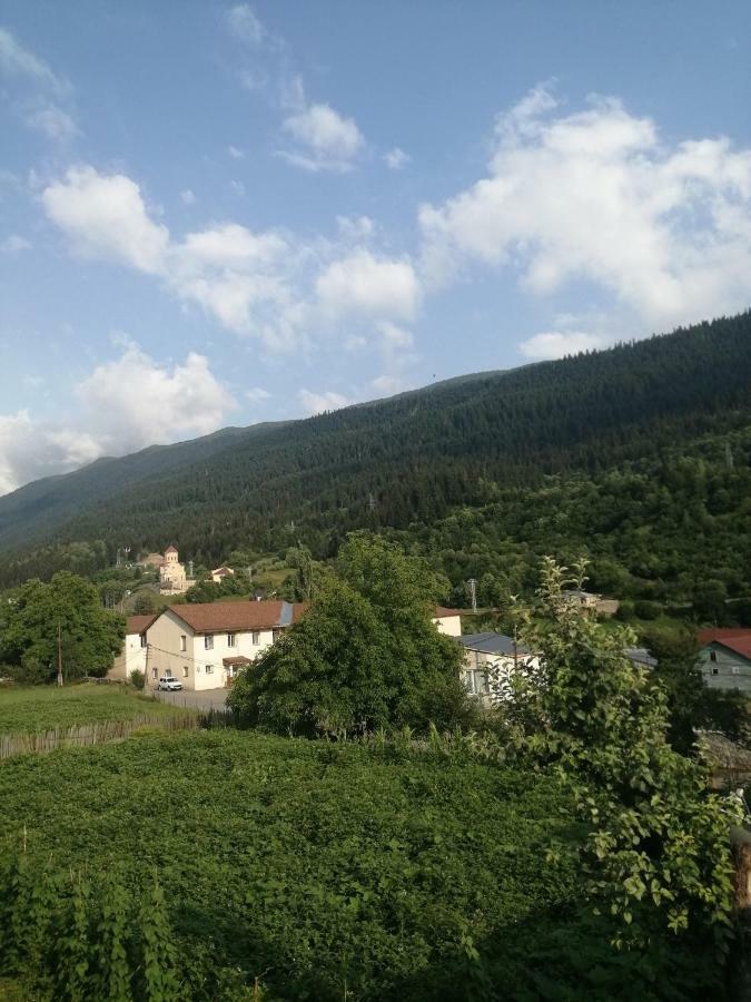 Jeiran Japaridze'S Guesthouse Местия Экстерьер фото